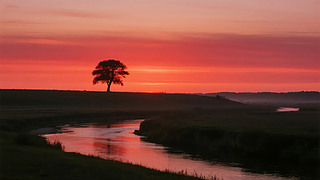 ﹝(ji)ª(d)ĘӰϣ(l)־D