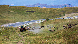 Ї(gu)½ԭϵcȺL(fng)