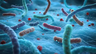 t(y)Ƽ(x)΢ƌW(xu)оD