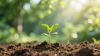 С(ji)ѿLϣh(hun)r(nng)I(y)