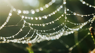 ̎(ji)W(wng)¶(yng)ȻD