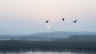 ̎(ji)wճȻL(fng)ⱳ