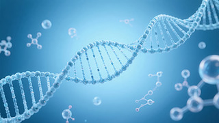 Ƽt(y)DNA﹤̿ƌW(xu)о