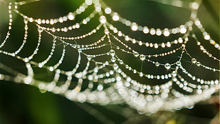 ̎(ji)֩W(wng)¶峿ȻB(ti)