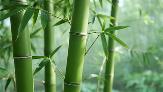 С(ji)ꖹȻB(ti)D