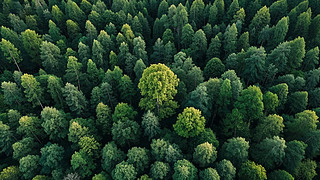 ɭ־Gh(hun)B(ti)I(y)ĻD