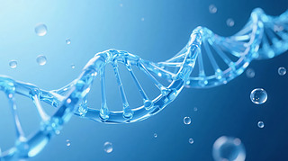 Ƽt(y)DNA﹤̿ƌW(xu)о