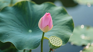 С(ji)ɻɏUЇL(fng)