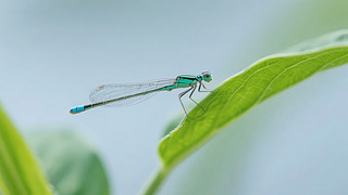 С(ji)ѶG~΢ȻB(ti)