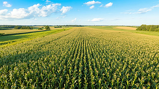 ﹝(ji)׵{r(nng)I(y)Sձ