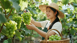 ֹ(ji)r(nng)ժr(nng)I(y)w򞱳