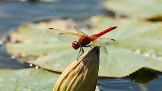 ̎(ji)ɼUȻB(ti)D