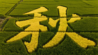 ֹ(ji)⺽ĵք(chung)r(nng)I(y)α