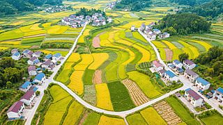 ﹝(ji)r(nng)ɫSպıD