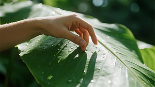 ̎(ji)G~ˮh(hun)Ȼow