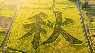 ֹ(ji)﹝(ji)Sմˇg(sh)r(nng)I(y)