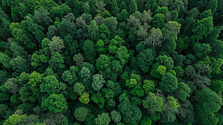 ɭ֘ھGɫֲh(hun)B(ti)D