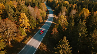 ֹ(ji)⺽ɭֹ·{L(fng)ⱳ