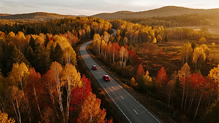 ֹ(ji)⺽ĸٹ·ɫɭ{α