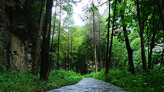 ԭ(chung)ȻL(fng)־^(q)ΨzӰD