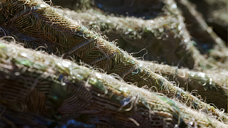 ᘿëϲ|(zh)y،(xi)r(sh)ИI(y)