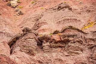 Ї½S101·İﵤϼòL