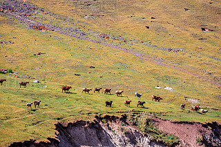 Ї(gu)½¹Ǟɽ(chng)ͲԭL(fng)