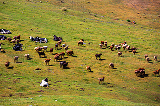 Ї(gu)½¹Ǟɽ(chng)ͲԭL(fng)