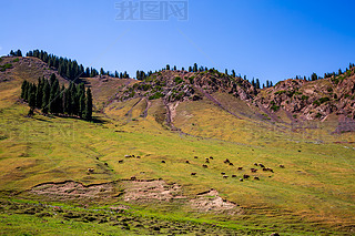 Ї(gu)½¹Ǟɽ(chng)ͲԭL(fng)