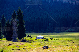 Ї(gu)½¹Ǟɽ(chng)ԭϵĚַcɭ