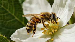 С(ji)۷ڄڲȻB(ti)D