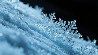 ѩ΢،Y(ji)(gu)ծa(chn)ƷD