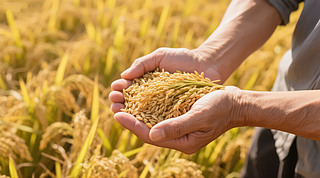 ﹝(ji)﹝(ji)r(nng)I(y)SȱD