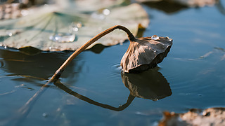 ̎(ji)ݺɚɳʒɪD