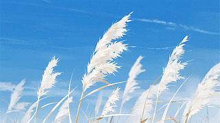 {(ln)?lin)uҷİɫJȔ