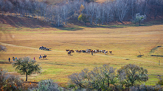 Ї(gu)my(tng)ղԭϵTc