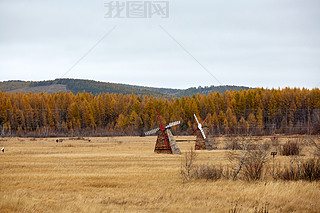 Їmy(tng)ԭҰϵpL(fng)܇^