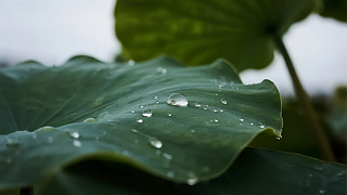 С(ji)~¶UȻB(ti)D