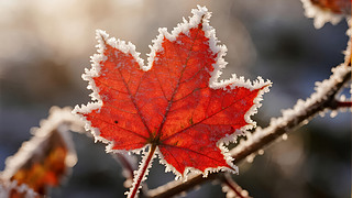 ˪(ji)~˪ΨȻL(fng)ⱳD