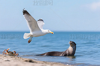 (dng)cB(nio)(dng)(chng)