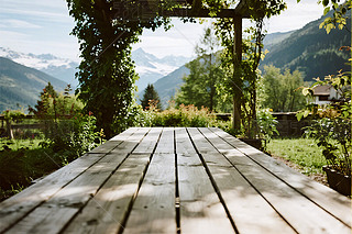 ͥԺľ|(zh)ƽ_L(fng)