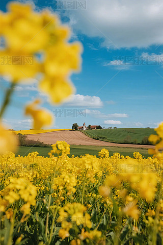 SͲ˻ch(yun)̎@L(fng)