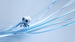 СC(j)c{(ln)ˇg(sh)D