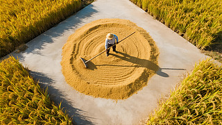 ﹝(ji)r(nng)Sڄ¸r(nng)I(y)D