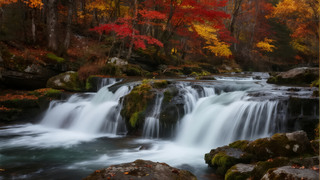 ֹ(ji)Ϫ~ɫȻL(fng)ⱳD