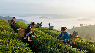 ¶(ji)@ɲr(nng)ĻL(fng)ⱳ