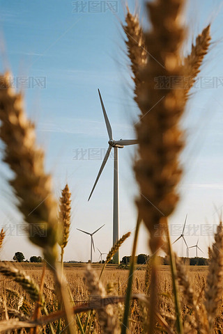 еL(fng)l(f)늙C(j)^