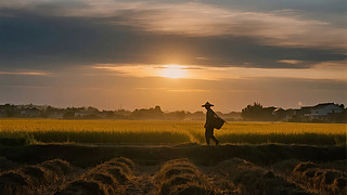 ֹ(ji)r(nng)SռӰڄl(xing)d