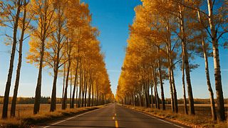 (gu)c(ji)ֹ(ji)⹫·{αD