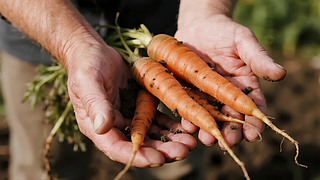 ¶(ji)}ЙCr(nng)I(y)ʳ